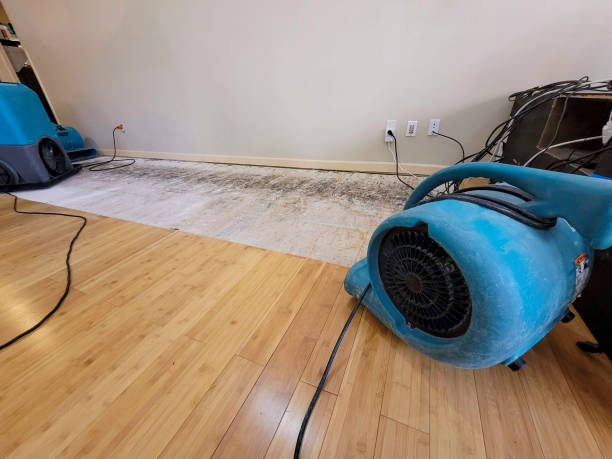 Professional Basement Flood Cleanup technician working in Merritt Island, FL